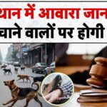 Rajasthan Stray Dogs Removal Order Update: राजस्थान हाईकोर्ट का आदेश – आवारा कुत्तों को सड़कों से हटाया जाए