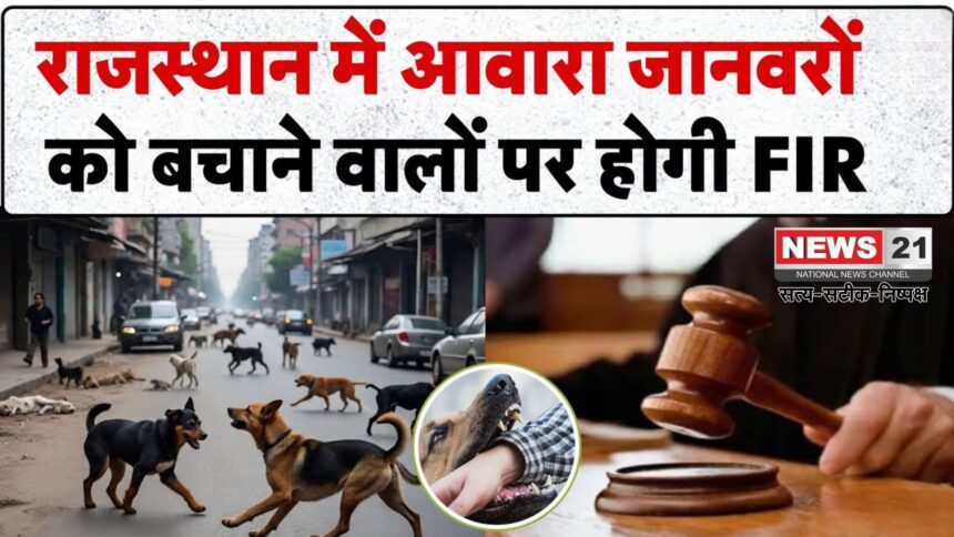 Rajasthan Stray Dogs Removal Order Update: राजस्थान हाईकोर्ट का आदेश – आवारा कुत्तों को सड़कों से हटाया जाए