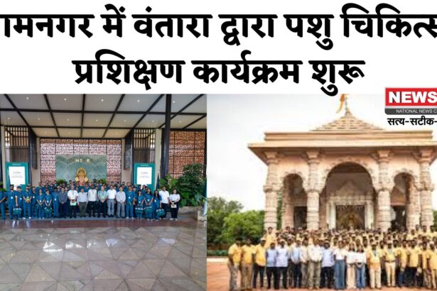 Jamnagar Gujarat: वंतारा जामनगर में 'कंज़र्वेशन मेडिसिन' पर राष्ट्रीय पशु चिकित्सा प्रशिक्षण का शुभारंभ