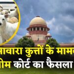 Delhi NCR Dog Attack Case Update: सुप्रीम कोर्ट का बड़ा फैसला: नसबंदी और टीकाकरण के बाद ही छोड़े जाएं आवारा कुत्ते, रेबीज संक्रमितों पर रोक