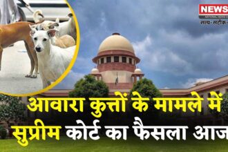 Delhi NCR Dog Attack Case Update: सुप्रीम कोर्ट का बड़ा फैसला: नसबंदी और टीकाकरण के बाद ही छोड़े जाएं आवारा कुत्ते, रेबीज संक्रमितों पर रोक