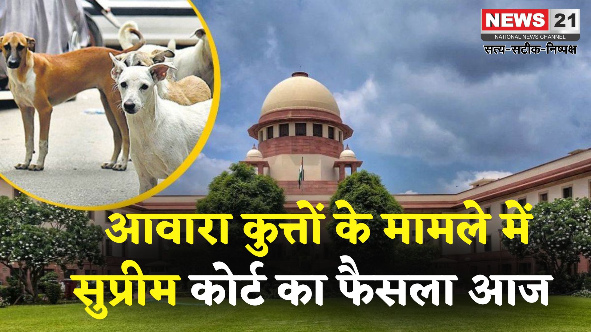 Delhi NCR Dog Attack Case Update: सुप्रीम कोर्ट का बड़ा फैसला: नसबंदी और टीकाकरण के बाद ही छोड़े जाएं आवारा कुत्ते, रेबीज संक्रमितों पर रोक