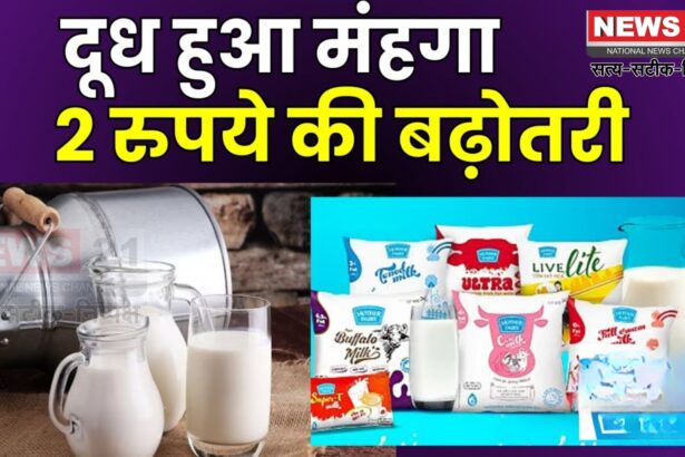 Jaipur Dairy Increased The Price Of Milk: सरस घी के बाद अब दूध भी महंगा: जयपुर डेयरी ने बढ़ाए दाम, 25 अगस्त से लागू होंगी नई दरें