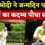 PM Narendra Modi Kadamb Plant Sapling: पीएम मोदी ने किंग चार्ल्स द्वारा भेजा जन्मदिन का कदम्ब पौधा लगाया