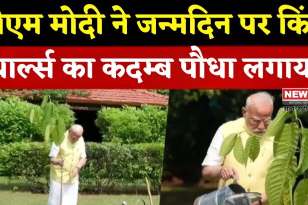 PM Narendra Modi Kadamb Plant Sapling: पीएम मोदी ने किंग चार्ल्स द्वारा भेजा जन्मदिन का कदम्ब पौधा लगाया