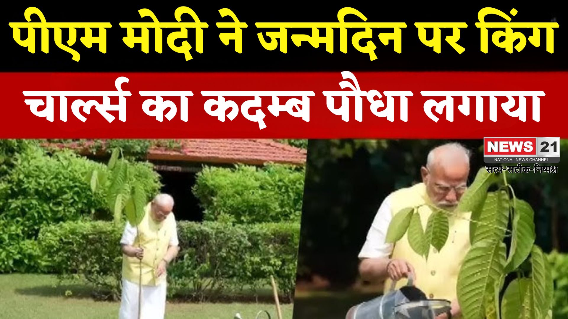 PM Narendra Modi Kadamb Plant Sapling: पीएम मोदी ने किंग चार्ल्स द्वारा भेजा जन्मदिन का कदम्ब पौधा लगाया