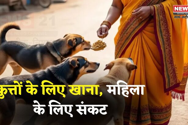 Faridabad News: महिला को कुत्तों को खाना खिलाना पड़ा महंगा: RWA ने लगाया 1.3 लाख रुपये का जुर्माना