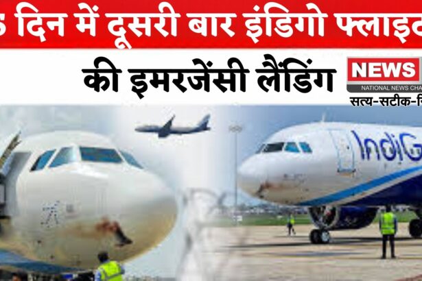 IndiGo Flight: 5 दिन में दूसरी बार इंडिगो फ्लाइट की इमरजेंसी लैंडिंग: नागपुर से उड़ान भरते ही पक्षी से टकराया विमान