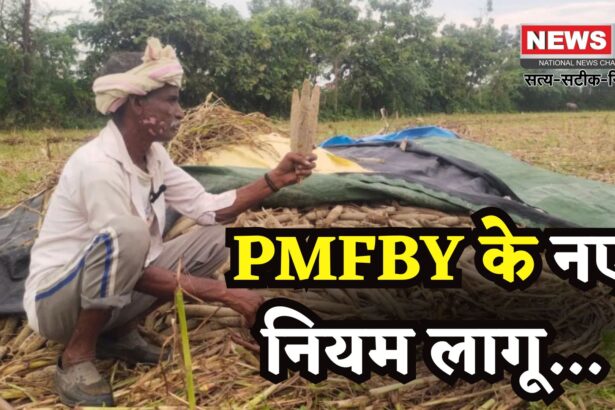 Important News For Farmers: जयपुर में फसल नुकसान की सूचना अब 72 घंटे में देना होगा: PMFBY ने नए नियम जारी किए