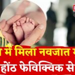 Bhilwara News: भीलवाड़ा में मानवता शर्मसार: नवजात के मुंह में पत्थर, होंठ फेविक्विक से चिपकाए