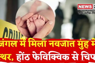 Bhilwara News: भीलवाड़ा में मानवता शर्मसार: नवजात के मुंह में पत्थर, होंठ फेविक्विक से चिपकाए