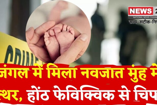 Bhilwara News: भीलवाड़ा में मानवता शर्मसार: नवजात के मुंह में पत्थर, होंठ फेविक्विक से चिपकाए