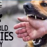 World Rabies Day: रेबीज मुक्त भारत की ओर एक और कदम: आज मनाया जा रहा है विश्व रेबीज दिवस