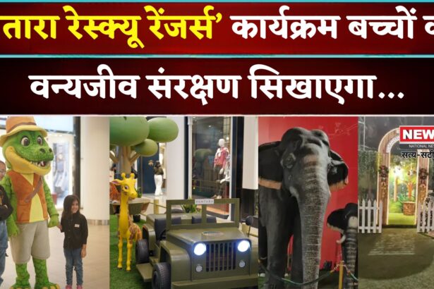 Vantara Rescue Rangers: ‘वंतारा रेस्क्यू रेंजर्स’ कार्यक्रम की वापसी: बच्चों को सिखाएगा वन्यजीव संरक्षण का पाठ 
