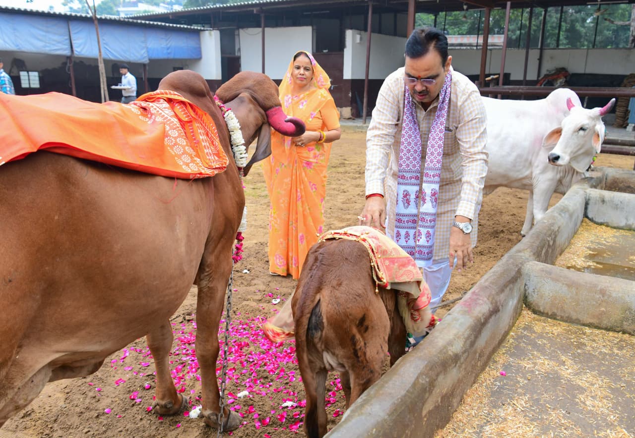 मुख्यमंत्री भजनलाल शर्मा