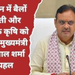 पारंपरिक बैल खेती