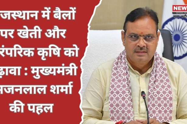 पारंपरिक बैल खेती