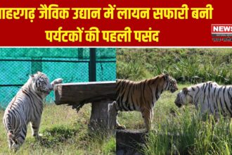 नाहरगढ़ जैविक उद्यान