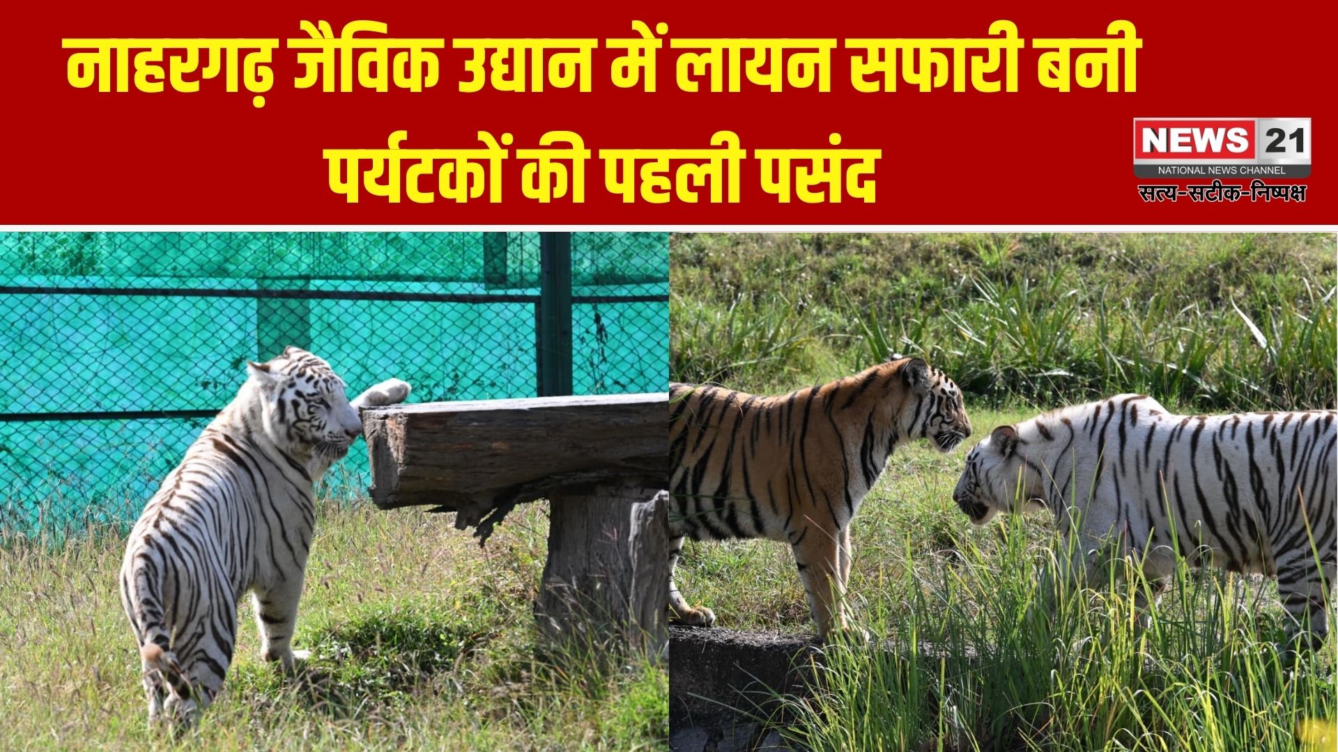 नाहरगढ़ जैविक उद्यान