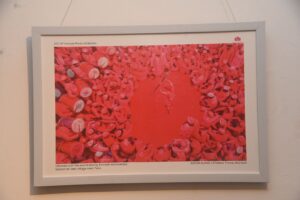 जयपुर फोटोग्राफर्स क्लब