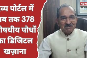 द्रव्य पोर्टल