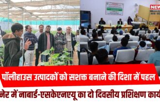 पॉलीहाउस