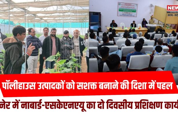 पॉलीहाउस