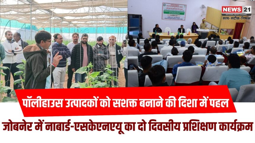 पॉलीहाउस