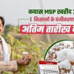 कपास उत्पादक