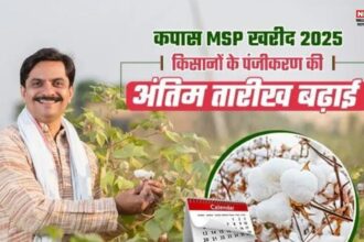 कपास उत्पादक