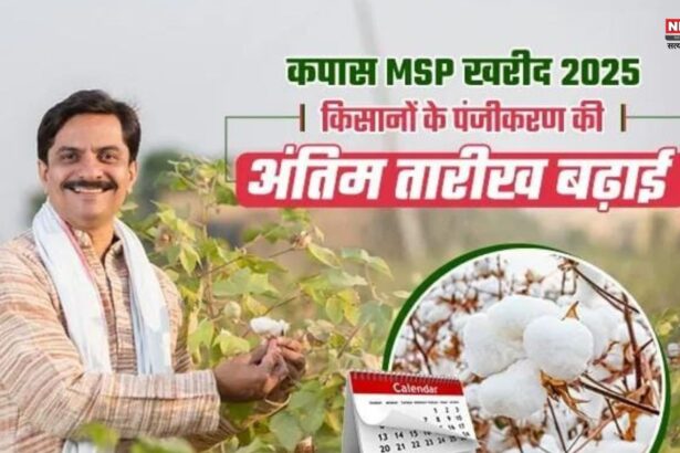 कपास उत्पादक