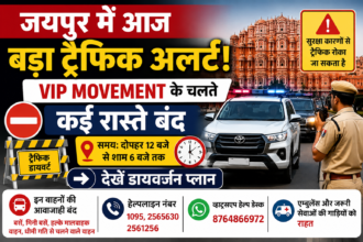 VIP Movement