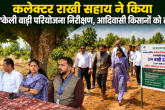 Collector Rakhi Sahay