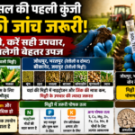 फसल