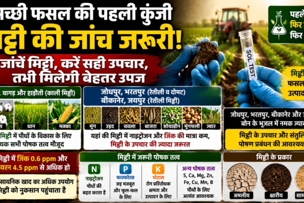 फसल