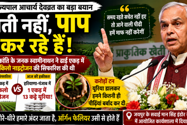 राज्यपाल