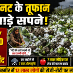ओलावृष्टि