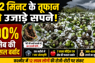 ओलावृष्टि