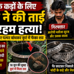 जयपुर