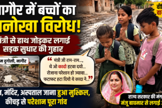 नागौर