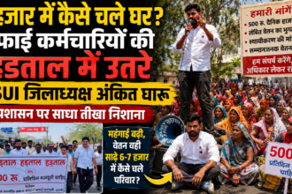 NSUI