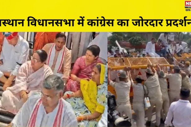 राजस्थान विधानसभा