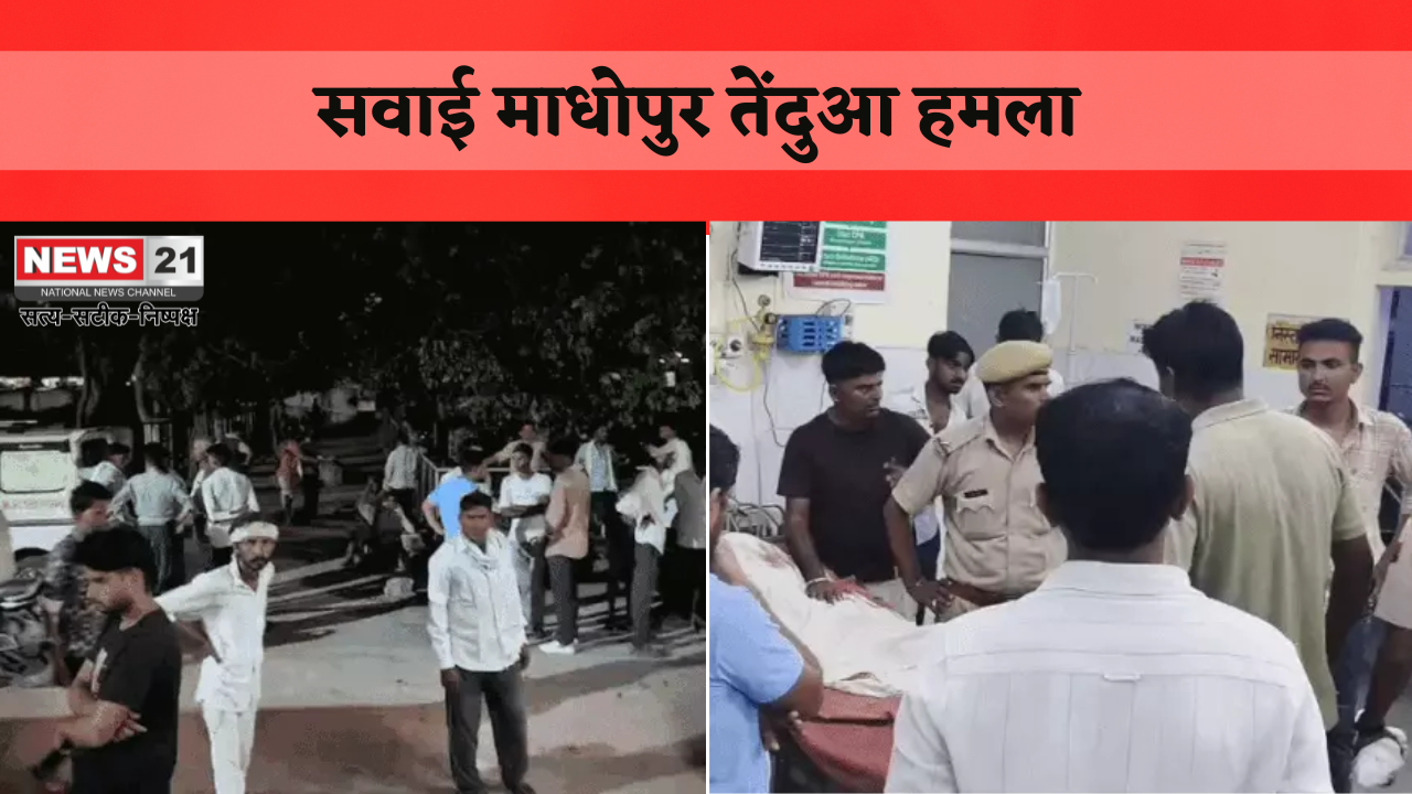 सवाई माधोपुर तेंदुआ हमला