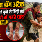 बांसवाड़ा डॉग अटैक