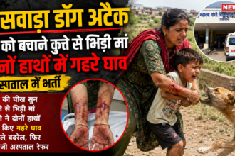 बांसवाड़ा डॉग अटैक