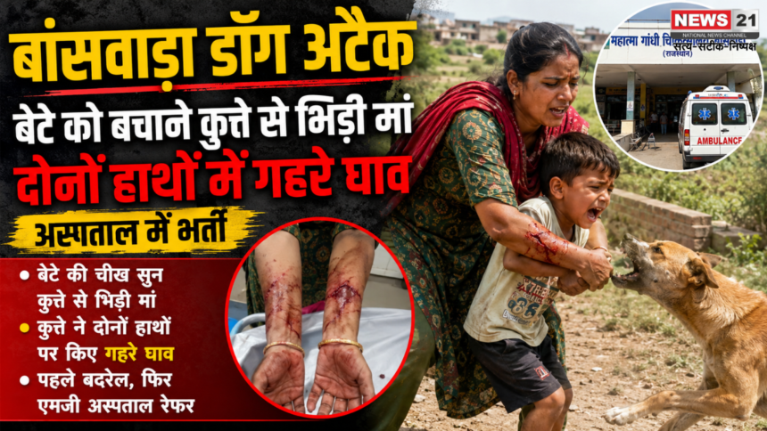 बांसवाड़ा डॉग अटैक