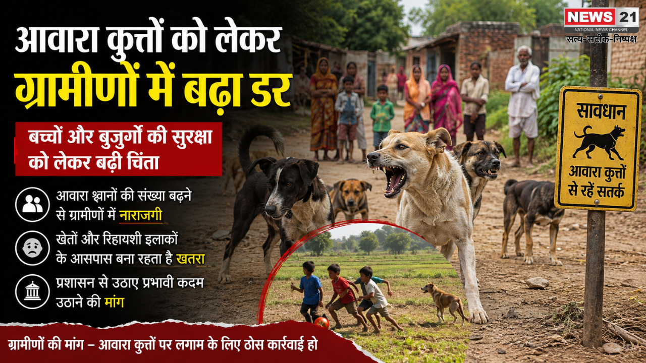बांसवाड़ा डॉग अटैक